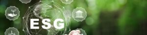 ESG & CSR: how to align your practices with the principles of sustainability and social responsibility